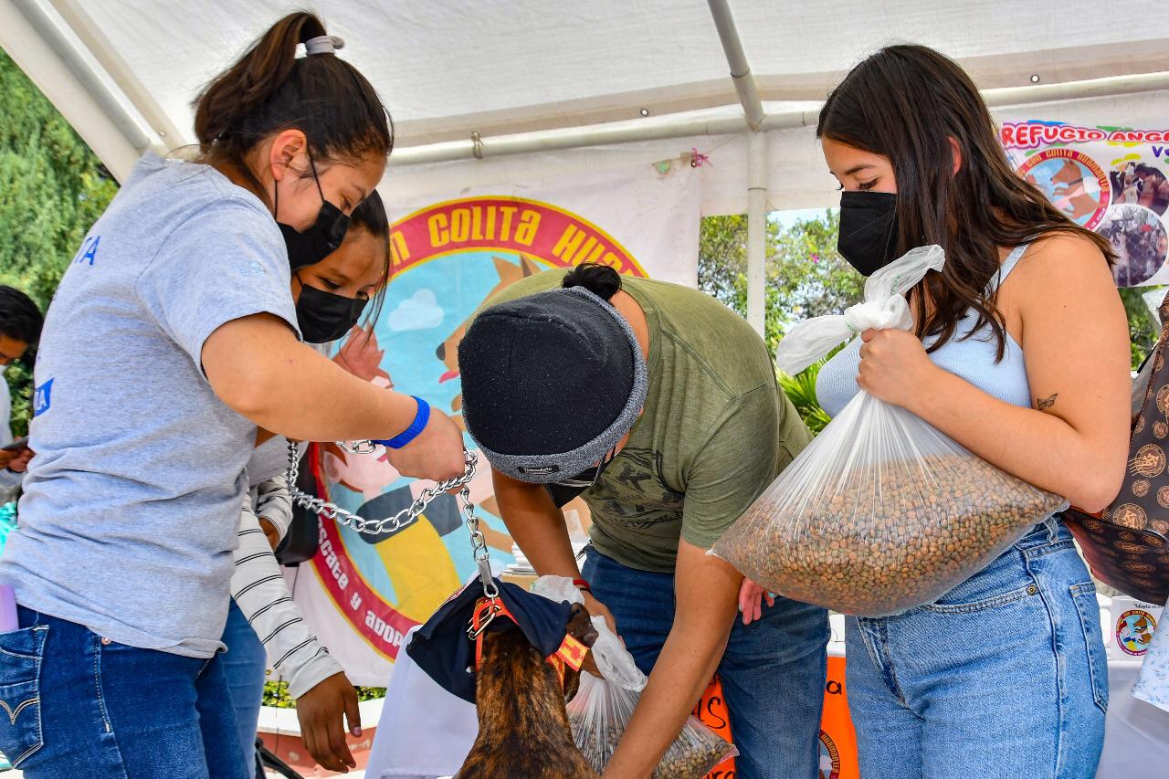 Invita Ayuntamiento de Huamantla a participar en la Feria de Adopción Canina
